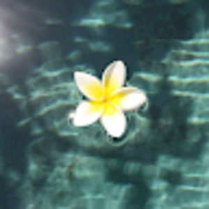 Meet your Posher, Bella